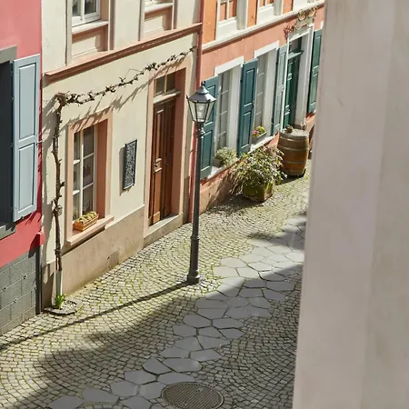 Berntraube
